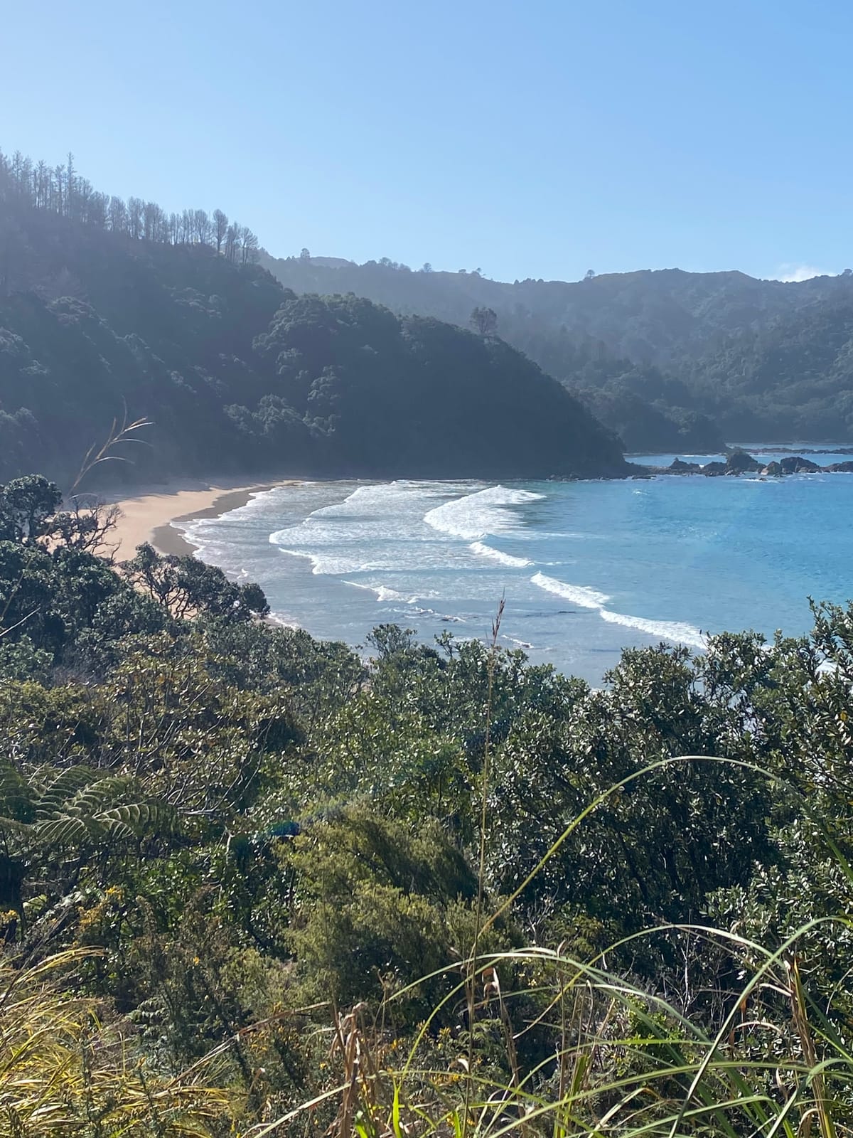 NEW ZEALAND