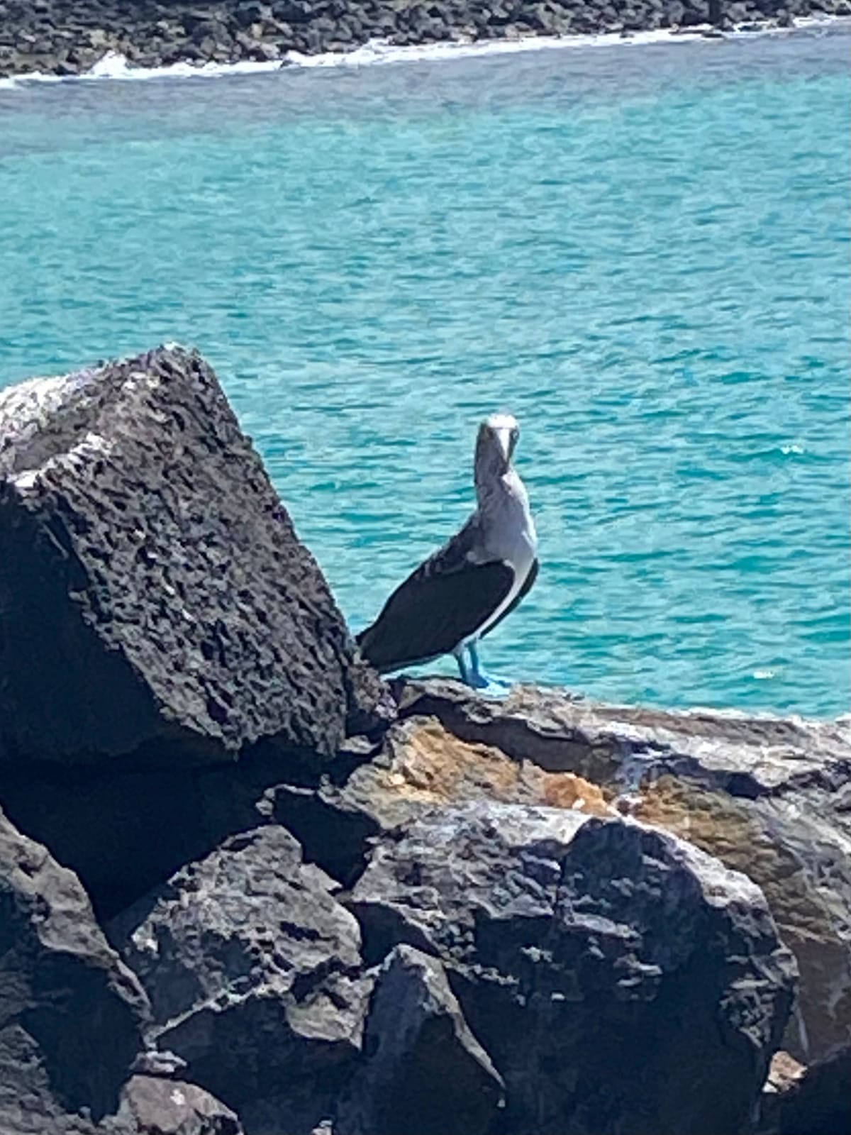 SAN CRISTOBAL ISLAND
