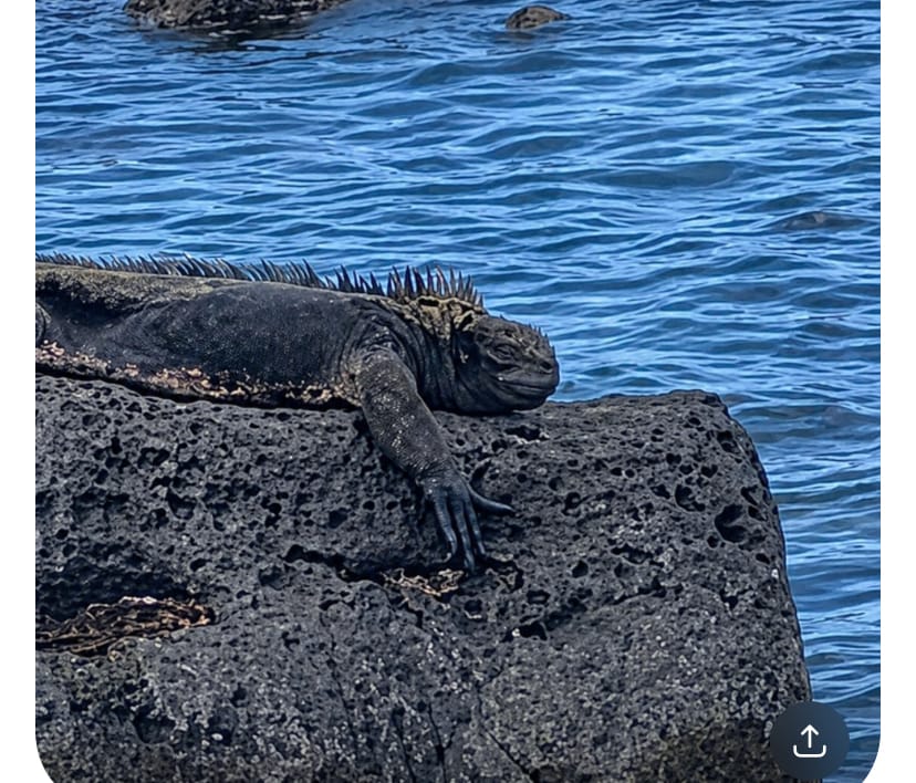 GALAPAGOS ISLANDS