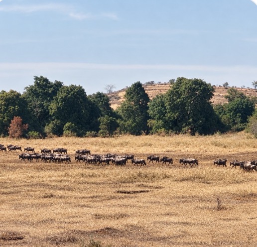 KENYA