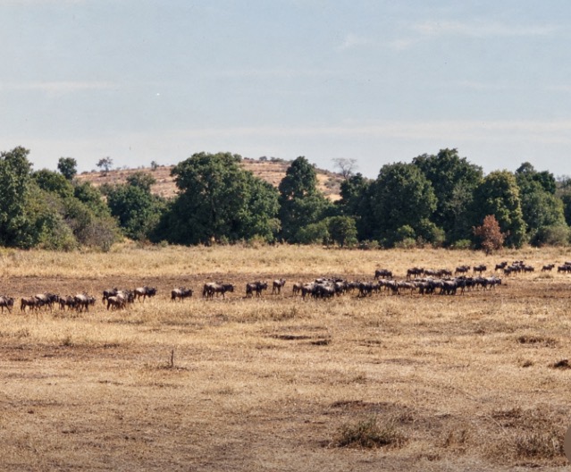 KENYA