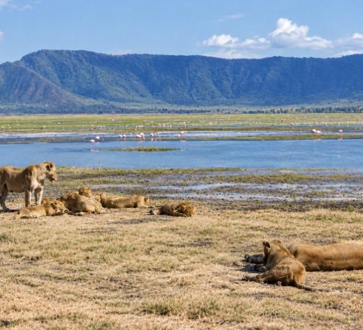 TANZANIA